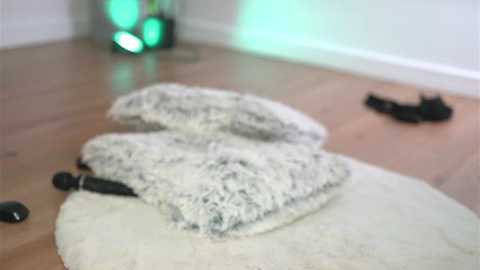 alexxiskye free recording from 2026-02-03 00:12:00