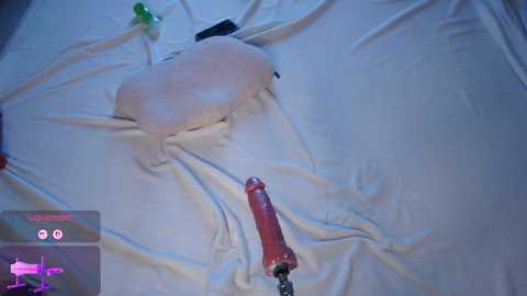 mayabaee1 free recording from 2026-02-03 00:12:00