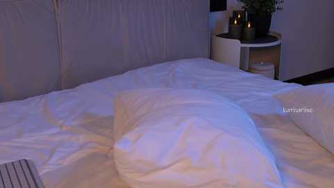 kathariine free recording from 2026-02-04 02:19:00