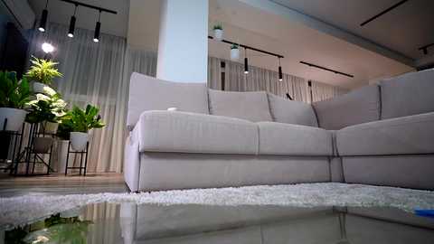 Video of a modern, light-gray sectional sofa with plush cushions, positioned in a contemporary living room with white walls, black track lighting, and large potted plants.