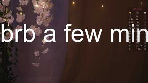 A video features a blurred, dark background with soft lighting, and a transparent overlay of white text reading \"bbr a few min.\