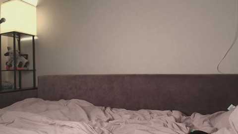 onlykira free recording from 2026-02-04 00:10:00