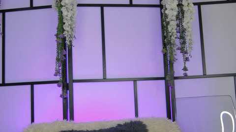 xenomy free recording from 2026-02-04 11:53:00