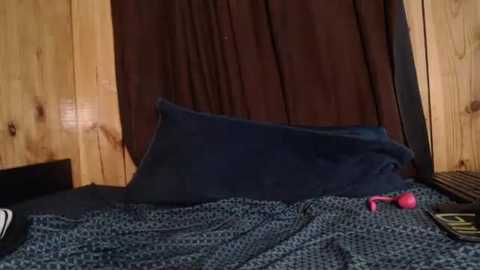 A video of a wooden-paneled room with a navy blue pillow and duvet, a pink vibrator on the bed, and a black and white patterned pillow on the left.