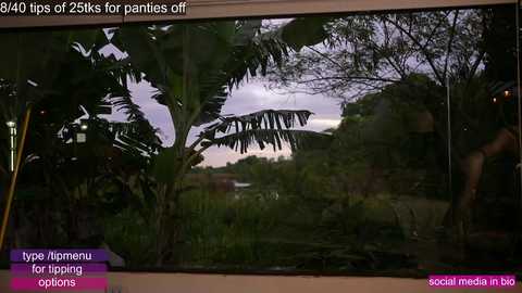Video of a lush, green, tropical garden with tall banana trees and a person partially visible on the right. Text overlay reads, \"4.2 tips for panning off.\