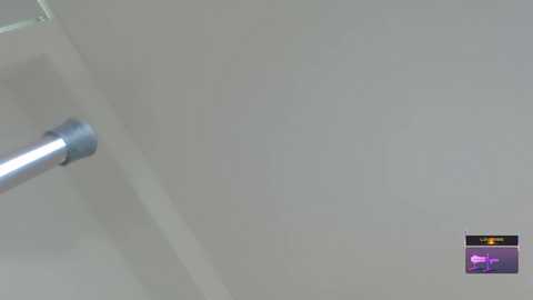 A video of a white wall with a metallic railing on the left side. A small inset photo in the bottom right corner displays a purple and pink flower.