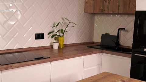 Media: Video of a modern kitchen with white diamond-patterned backsplash, wooden countertops, black appliances, a potted plant, and minimalistic design elements.