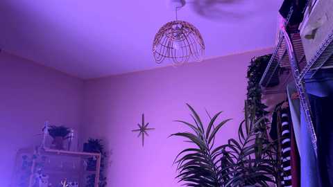 vixenp free recording from 2026-02-06 00:15:00