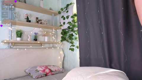 willacrago free recording from 2026-02-05 00:01:00