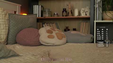 Video of a cozy bedroom with a beige bedspread, various pillows in shades of gray, pink, and white, a wooden shelf with books and decor, and a remote control on the nightstand.