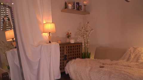 blissdilley free recording from 2026-02-06 00:15:00