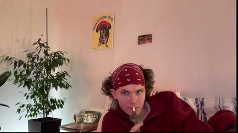 A video of a person with curly hair wearing a red bandana, smoking a joint, in a dimly lit room with a poster of a cartoon character and a potted plant.