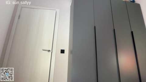 Video of a minimalist, modern bedroom with a white wooden door, black wall-mounted light switch, and tall, sleek, gray wardrobe with vertical drawers.