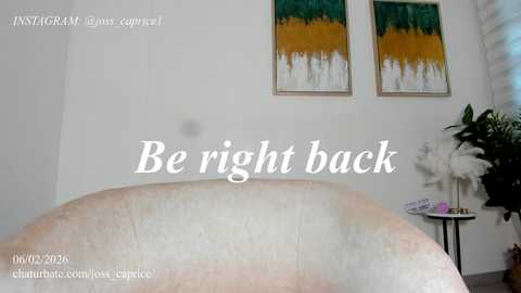 Video of a modern, minimalist room with a white sofa in the foreground. Two abstract paintings with green and gold vertical stripes hang on a white wall. A white vase with flowers sits on a side table. Text overlays read \"Be right back.\