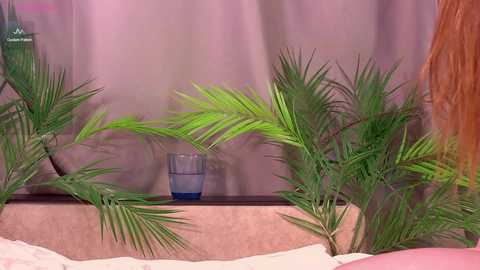 kittyloffe free recording from 2026-02-06 00:24:00