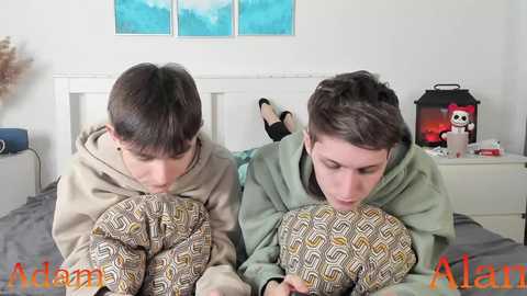 Video of two teenage boys, one wearing a beige hoodie, the other a green hoodie, cuddling on a bed in a cozy room with a white headboard, a lamp, and a stuffed animal.