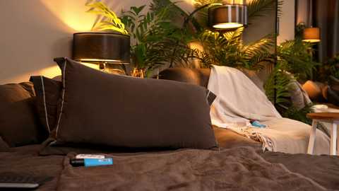 _keti_ free recording from 2026-02-07 00:34:00