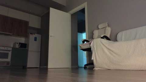 ella_lee15 free recording from 2026-02-07 00:07:00