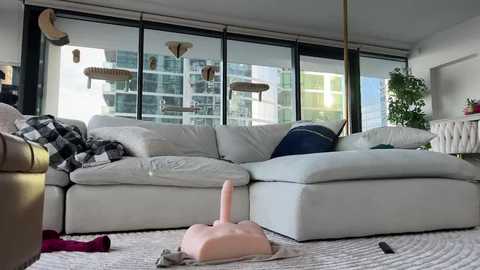 graciemae_baexx free recording from 2026-02-08 00:04:00