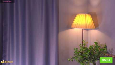 bellacle free recording from 2026-02-08 00:26:00