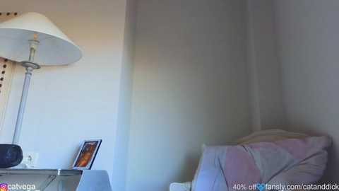 Video of a minimalist bedroom corner featuring a white lamp, a framed picture, and a neatly made bed with white sheets and a pink pillow. The walls are plain and the room is well-lit.
