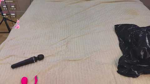 jeanninebeall free recording from 2026-02-09 00:16:00