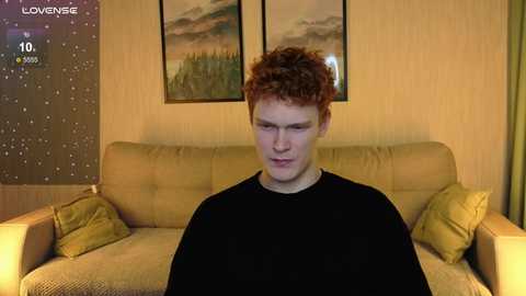 Video of a young man with curly red hair, wearing a black shirt, sitting on a mustard-yellow couch in a warmly lit room with two landscape paintings on the wall.
