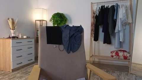 A modern bedroom with a light gray upholstered chair, a white wooden dresser, a tall floor lamp, a green potted plant, and a closet with hanging clothes and a red floral pillow.