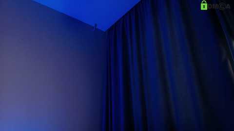 hollyextra free recording from 2026-02-09 00:16:00