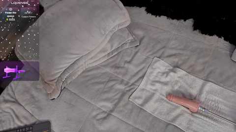 missmeegan_ free recording from 2026-02-09 00:01:00