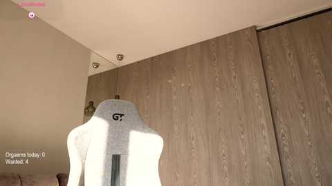 Media: Video of a beige upholstered chair with a gray fabric headrest, positioned in front of a large wooden wardrobe with horizontal grain, in a sunlit room.