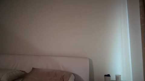 Media: A video of a minimalist bedroom featuring a white headboard, a beige pillow, and a white wall with a subtle shadow. On the right, a window with sheer curtains and a white candlestick on a side table.