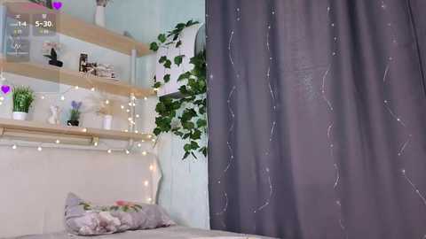 Video of a cozy bedroom with pastel walls, wooden shelves adorned with potted plants, string lights, and a gray curtain with white stitching.