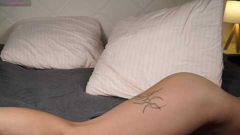 Video of a person lying on a bed with a gray quilted bedspread, featuring a spider tattoo on the right arm. The background includes a beige quilted headboard and a lit bedside lamp emitting warm light.