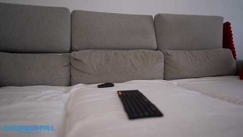A video of a gray fabric couch with white pillows and a black remote control placed on a white cushion. The background is a plain white wall with a red cushion visible in the right corner.