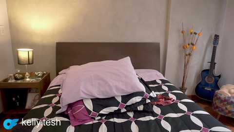 kellytesh free recording from 2026-02-11 00:28:00