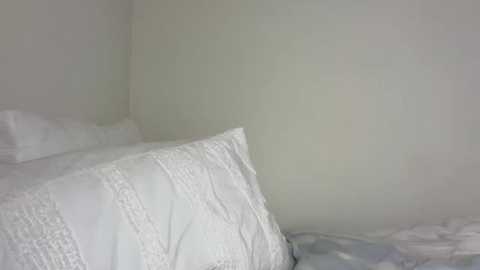 Video of a minimalist, modern bedroom corner with white bedding, including a textured pillow and a smooth pillow, against a plain white wall.