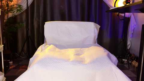 reaowna___ free recording from 2026-02-10 00:11:00