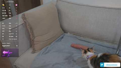 rebeccastonee free recording from 2026-02-10 00:10:00