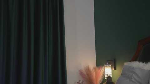 Video of a dimly lit bedroom with dark green curtains, white wall, and a wooden headboard. A soft, warm light illuminates a decorative lamp on a bedside table, casting a cozy glow on a fluffy white pillow and a feather duster.