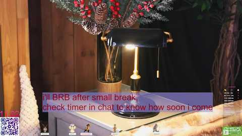 lissa_meooow free recording from 2026-02-11 02:10:00