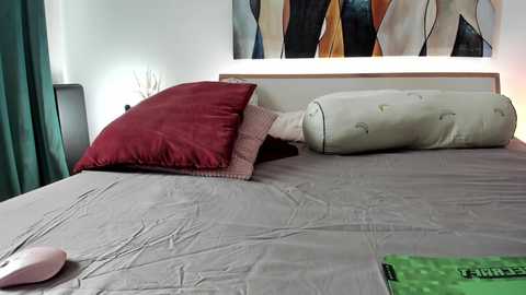 mis_eva free recording from 2026-02-11 00:28:00