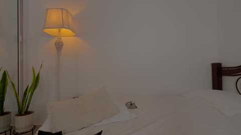 Video of a minimalist bedroom with a white bed, a potted plant, a nightstand with a lamp, and a dark wooden headboard against a plain white wall.