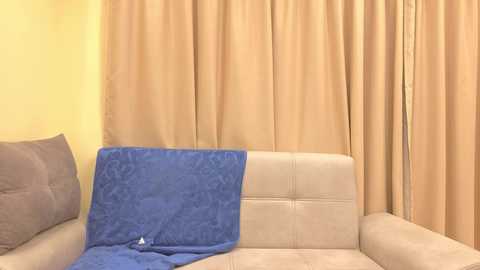 Media: Video of a beige couch with a blue blanket draped over the backrest and armrest, set against tan curtains on a pale yellow wall.