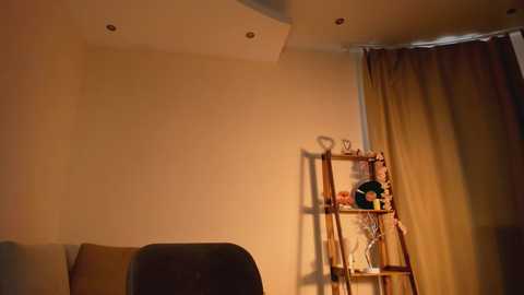 sageplambeck free recording from 2026-02-11 02:10:00