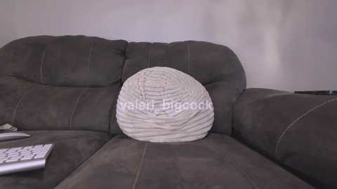 A video of a plush, dark gray sectional sofa with a round, textured, light gray cushion in the middle. A remote control lies on the sofa's armrest. The background is a plain, light-colored wall.