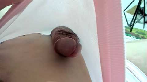 A close-up video of a flaccid, circumcised penis with a pinkish hue, partially obscured by a white and pink plastic sun lounger. The background shows a blurred outdoor scene with greenery and a black metal structure.