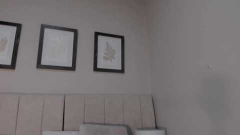 Video of a minimalist bedroom corner featuring a beige padded headboard with two framed botanical prints above, and a single pillow on the bed.