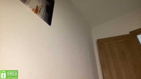 angel_from_sky free recording from 2026-02-12 00:10:00