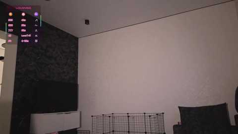 hoaarisa free recording from 2026-02-12 01:05:00